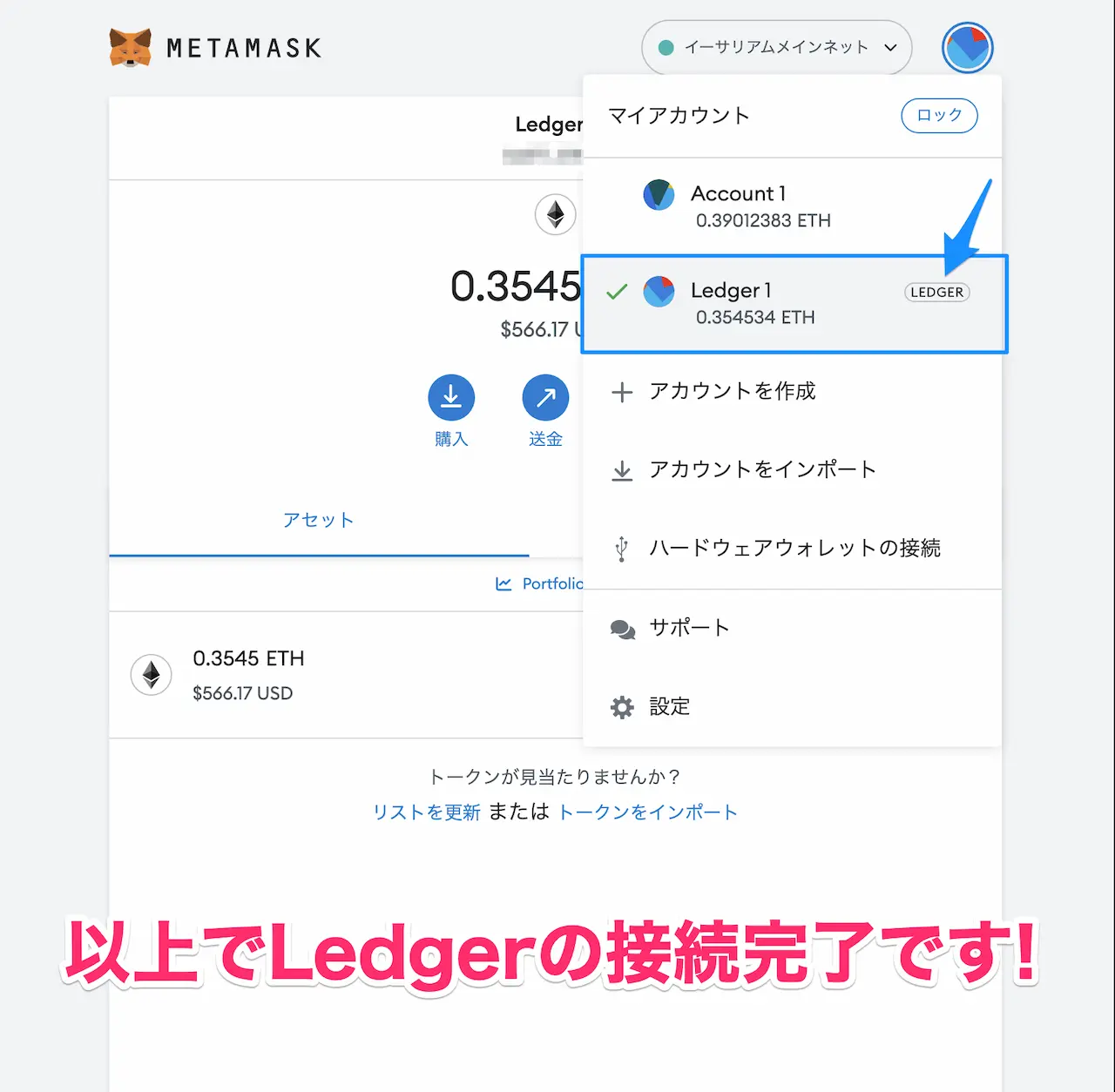 HowToConnect_Ledger-Metamask_07a